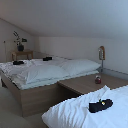 Fitapartman Apartment Mitterfirmiansreut
