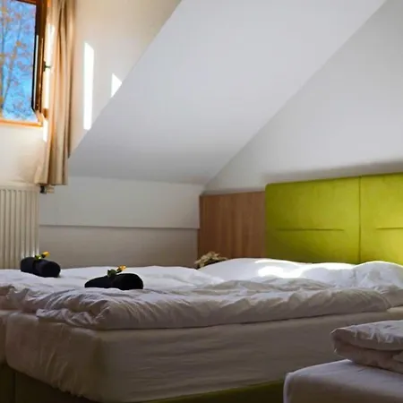 Lägenhet Fitapartman Mitterfirmiansreut