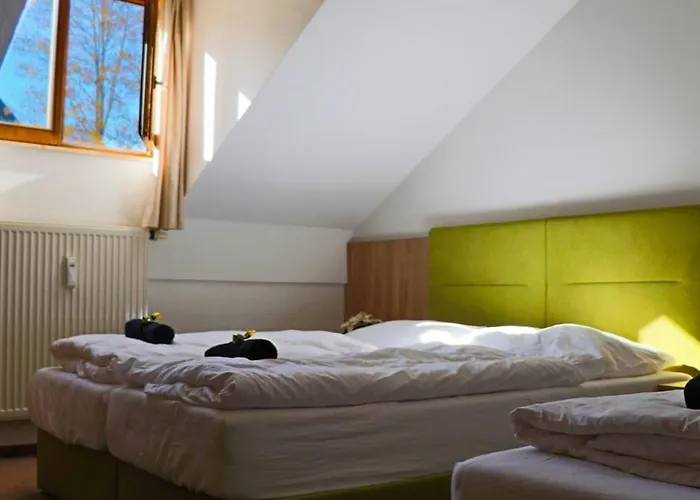 Apartmán Fitapartman Mitterfirmiansreut
