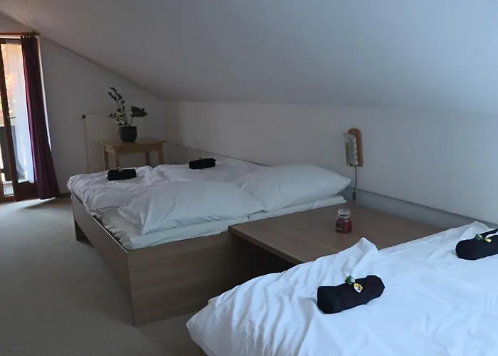 Fitapartman Apartmán Mitterfirmiansreut